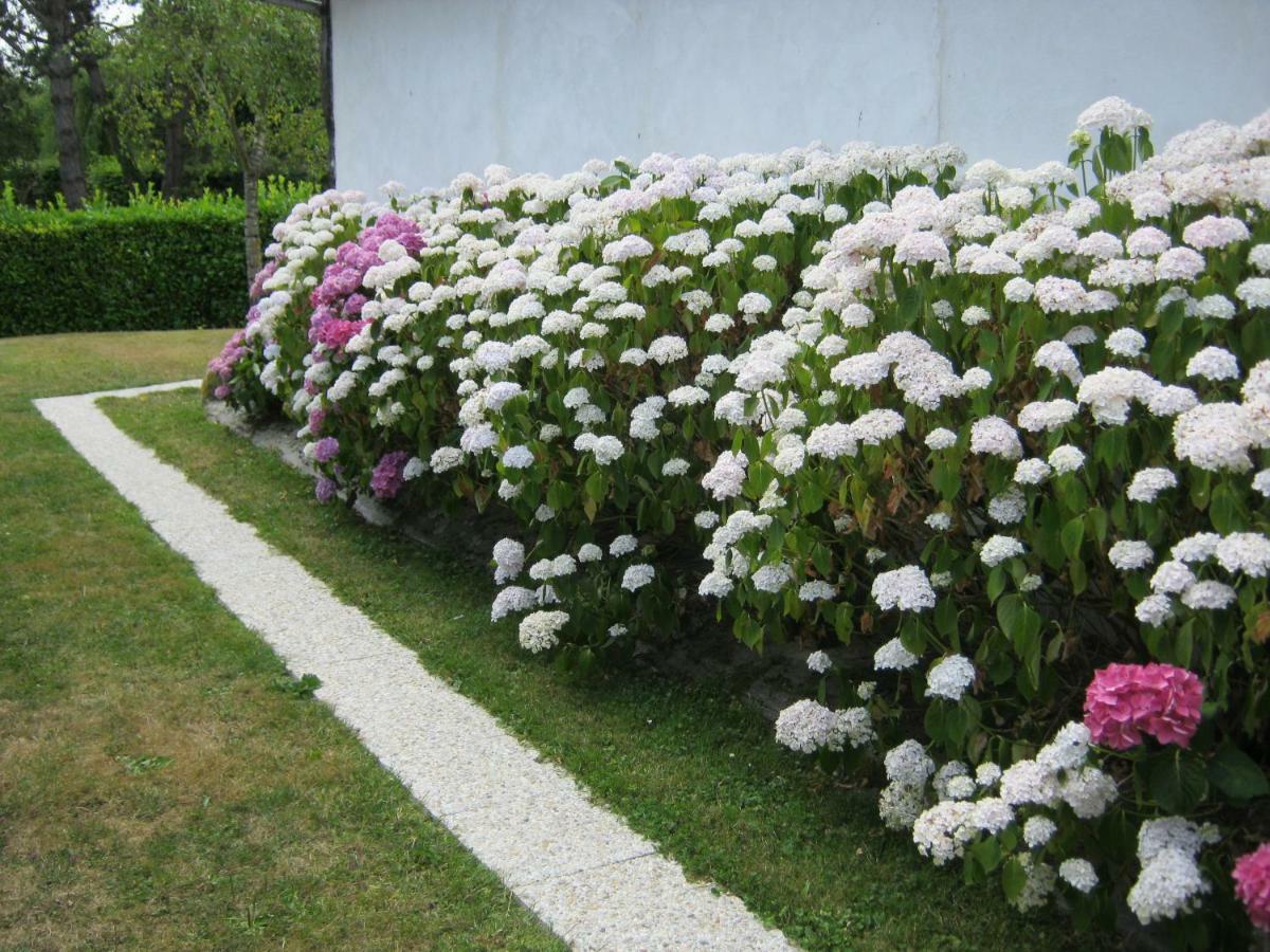 Gite Des Pins Penches Brunville المظهر الخارجي الصورة
